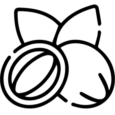 Shea Butter Shea Butter