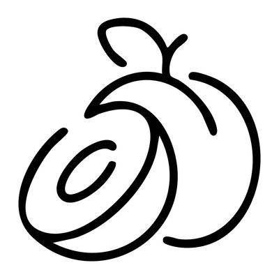 Wild Plum Harvest Wild Plum Harvest