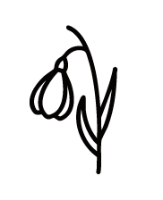 Allantoin