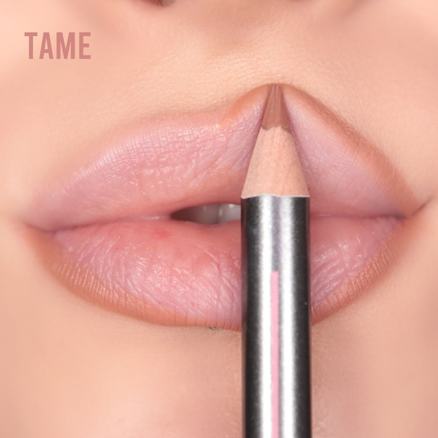Poutline Lip Liner - The Collection